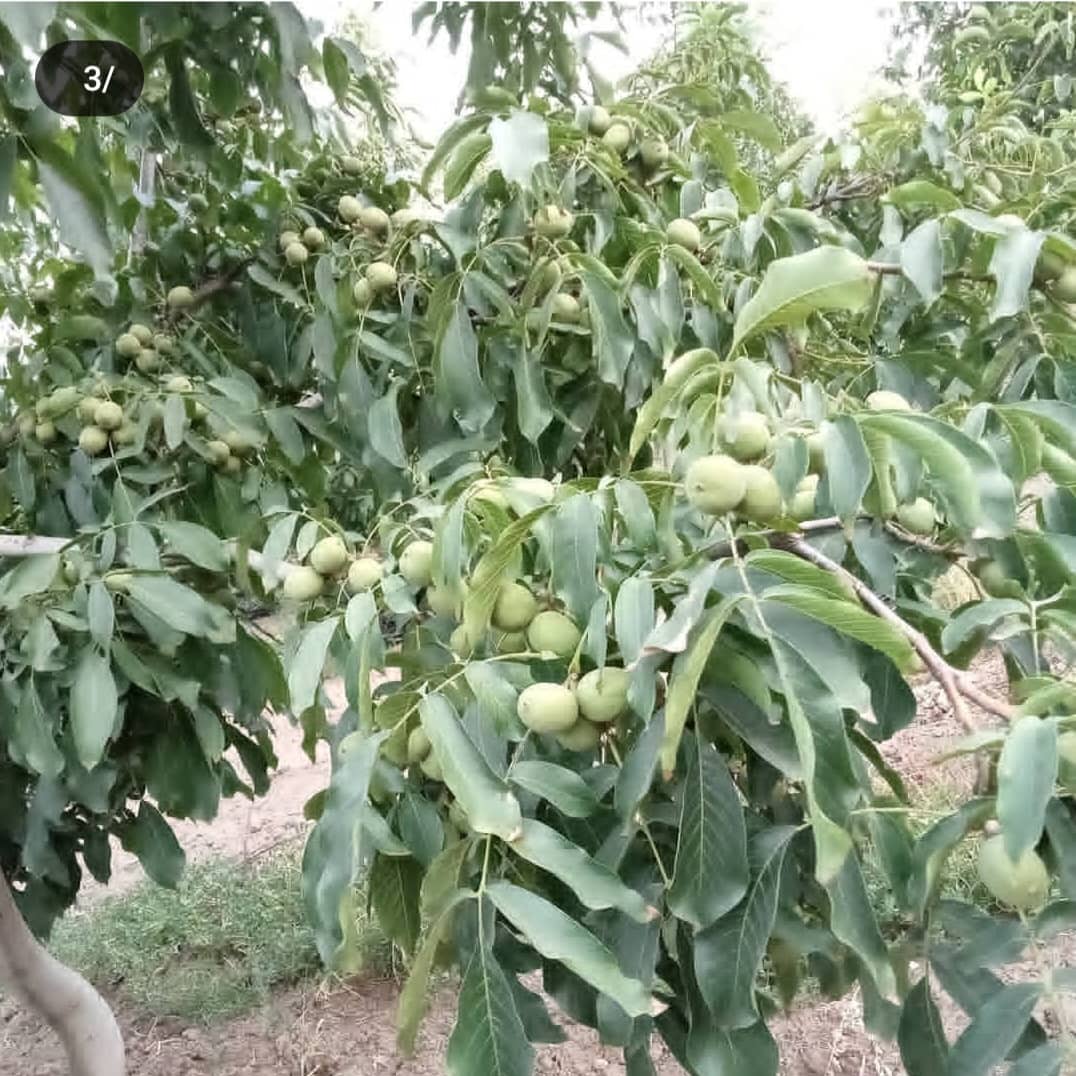 مشاوره تخصصی